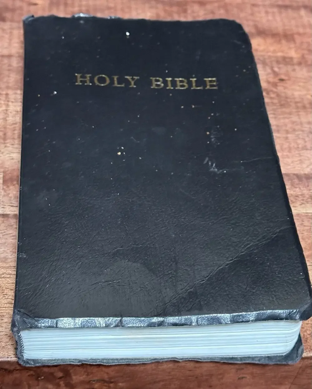 Holy Bible KJV Hendrickson Bibles 2021 Leather